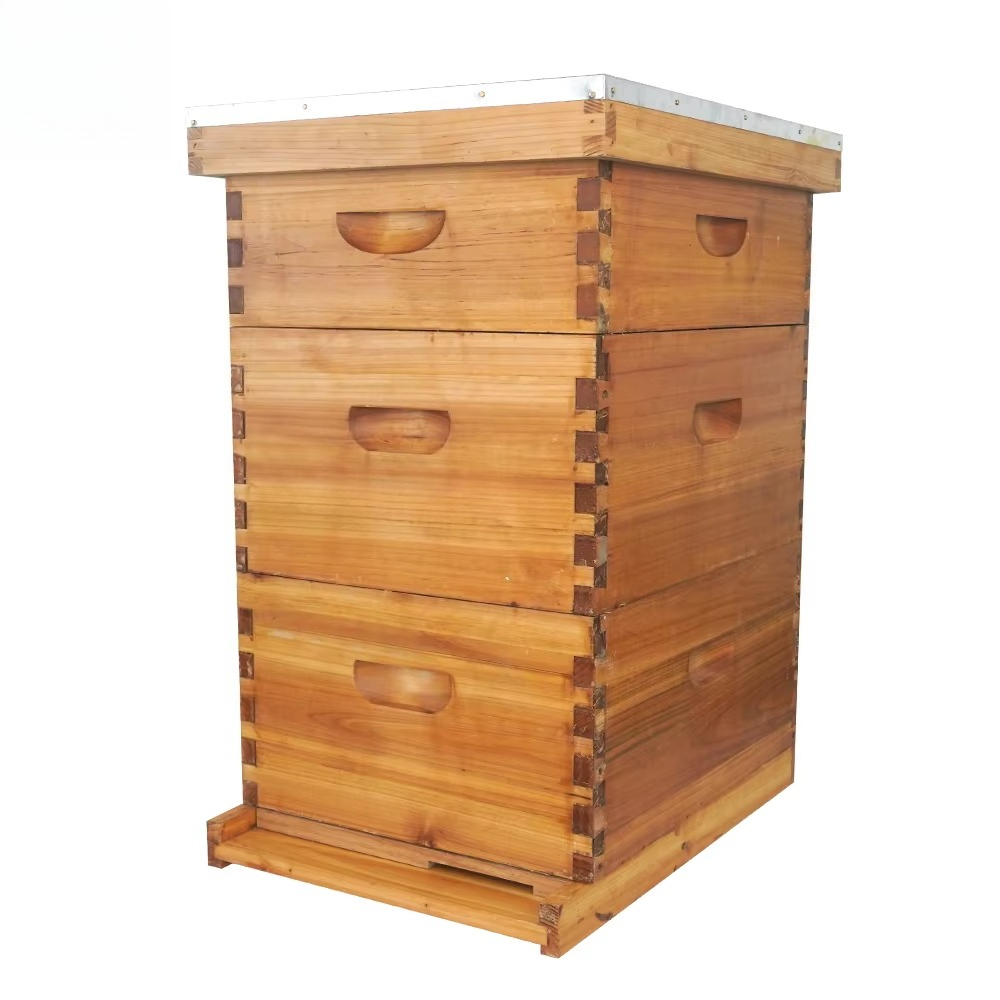 Beehive Frame Wax - Kompletter 3-lagiger, mit Wachs getränkter Langstroth-Bienenstock